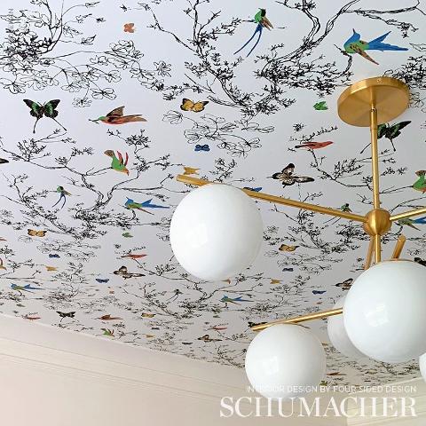 Birds & Butterflies