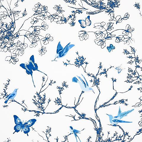 Birds & Butterflies