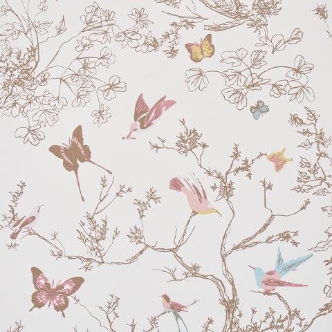 BIRDS & BUTTERFLIES