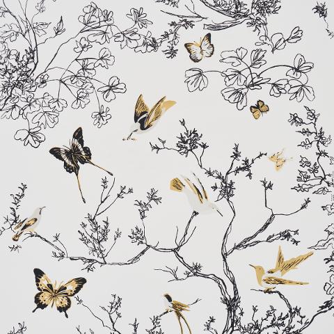 Birds & Butterflies