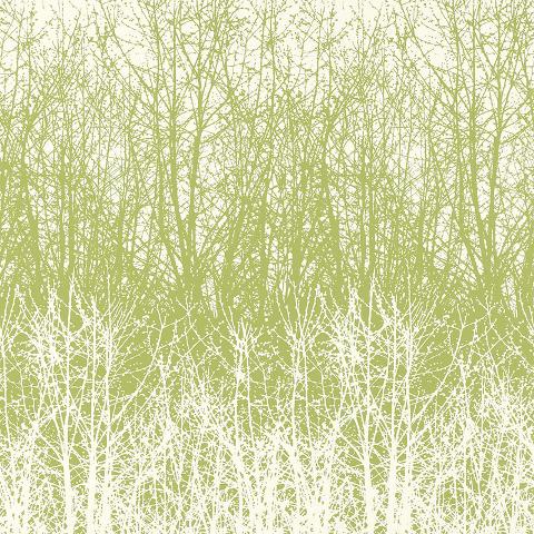 Birches