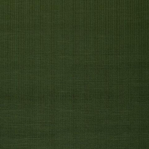Antique Strie Velvet
