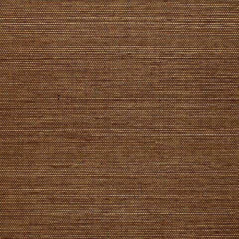 Celebes Sisal