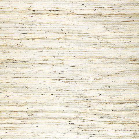 Jinan Arrowroot
