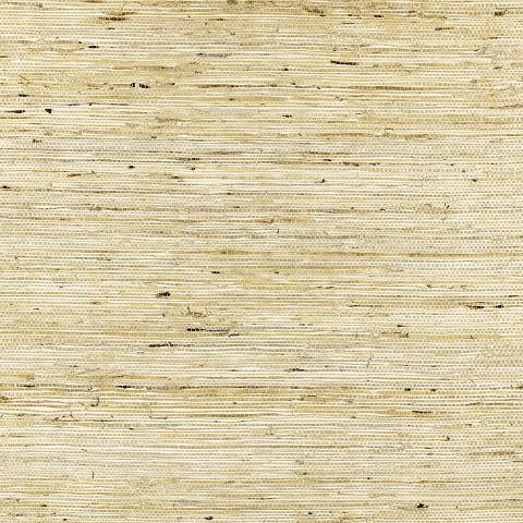 Sonota Arrowroot