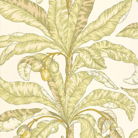 BLAIR HOUSE PALM
