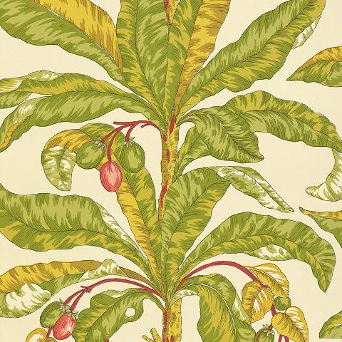 BLAIR HOUSE PALM
