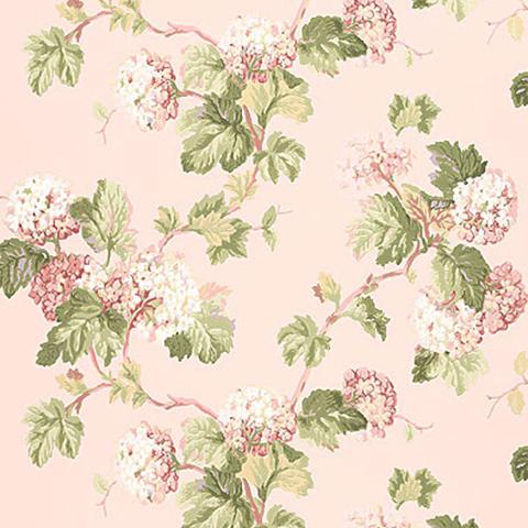 VIBURNUM