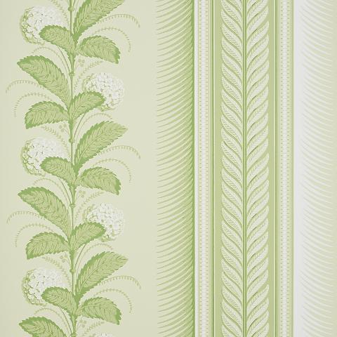 Hydrangea Drape