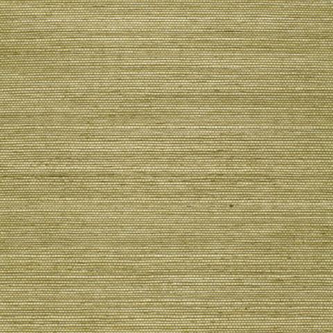 Haruki Sisal