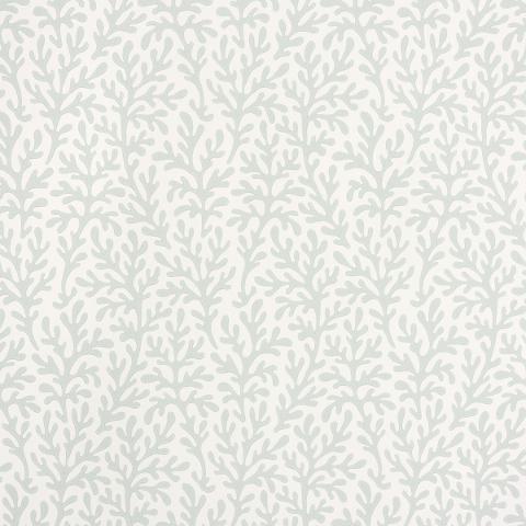 SEA CORAL