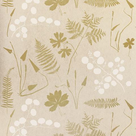 Modern Botanical
