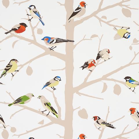 A-TWITTER