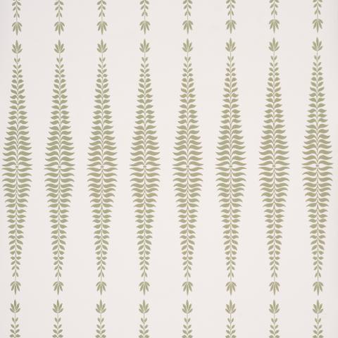 Fern Tree