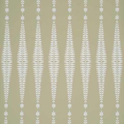 Fern Tree