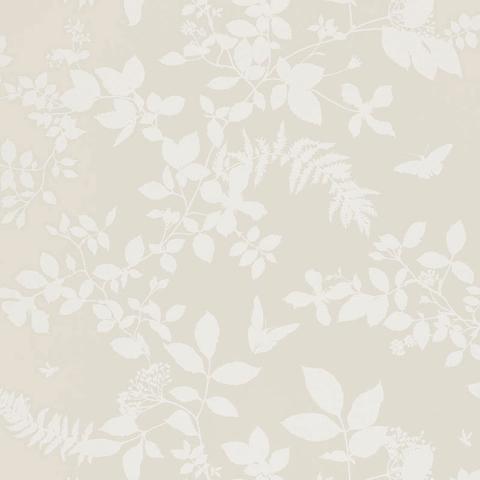 Shadow Vine