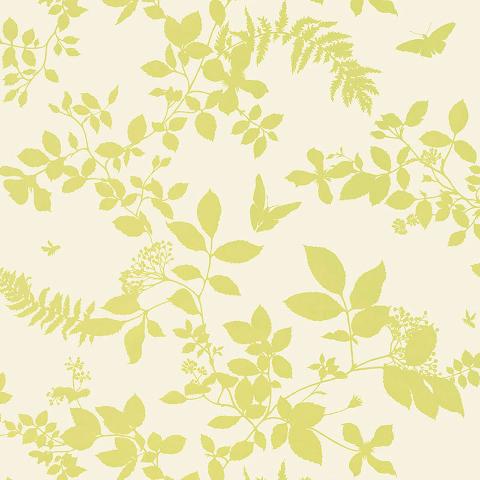 SHADOW VINE