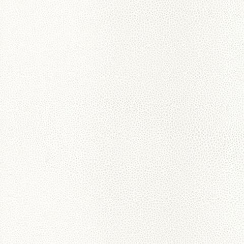 Shagreen