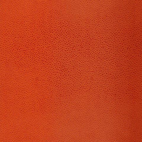 Shagreen