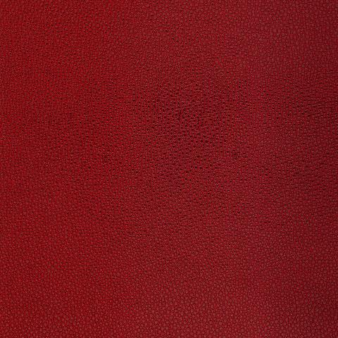Shagreen