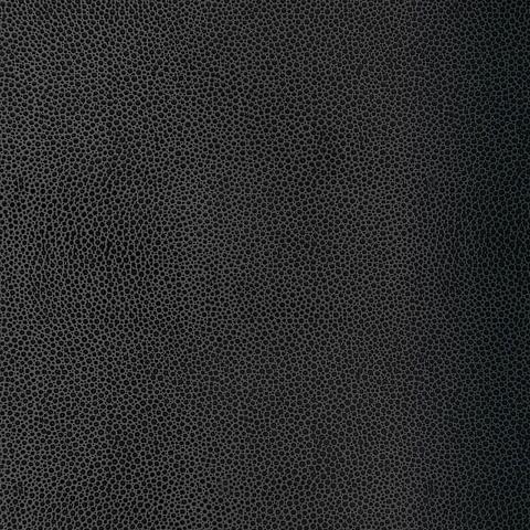 Shagreen
