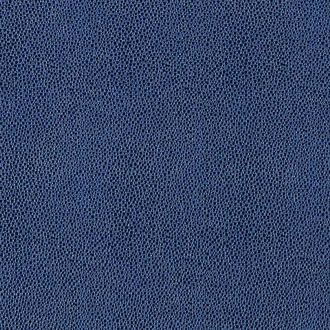 Shagreen