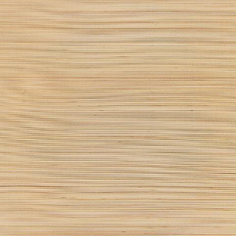 ZEN BAMBOO