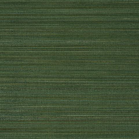 Zen Bamboo