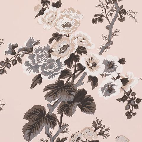 PYNE HOLLYHOCK