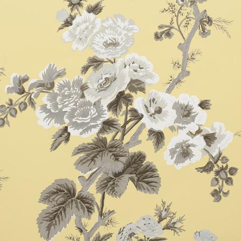 PYNE HOLLYHOCK