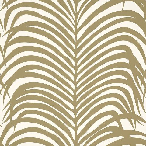 ZEBRA PALM