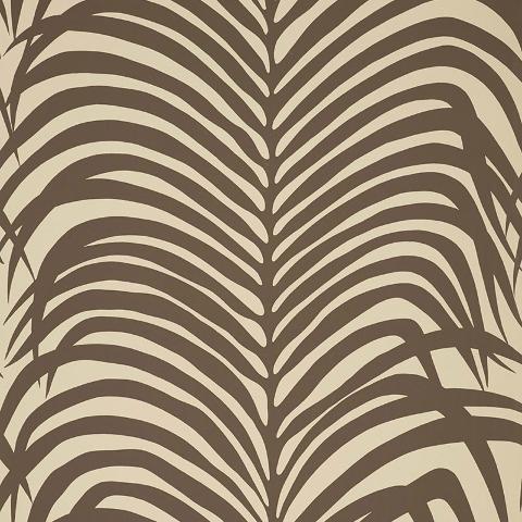 ZEBRA PALM