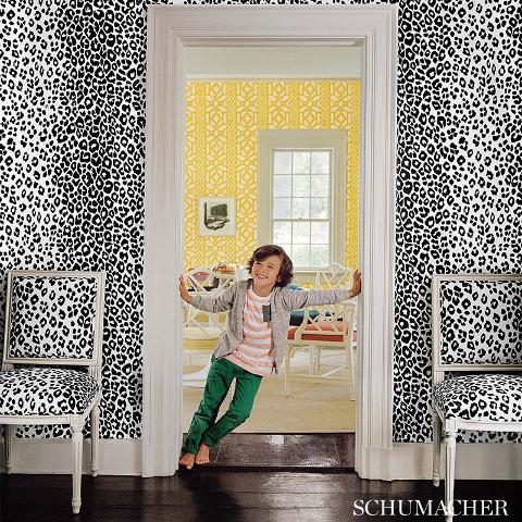 Iconic Leopard