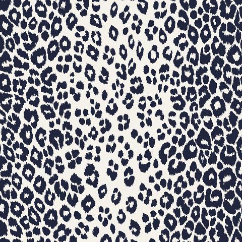 Iconic Leopard