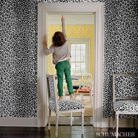 Iconic Leopard