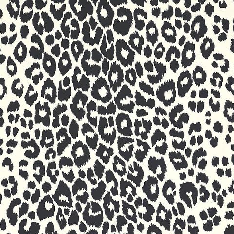 ICONIC LEOPARD
