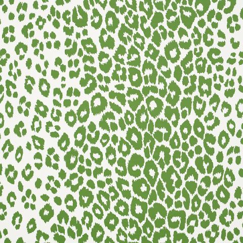 Iconic Leopard