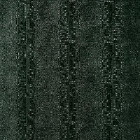 Komodo