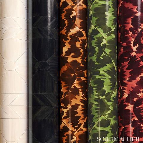 Tortoise