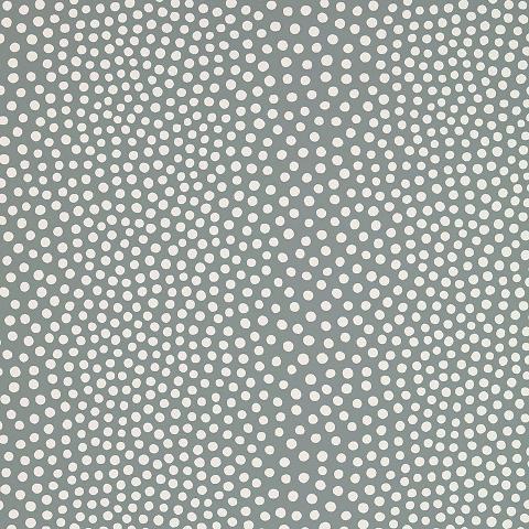 RAINDOTS
