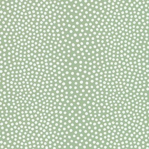 RAINDOTS
