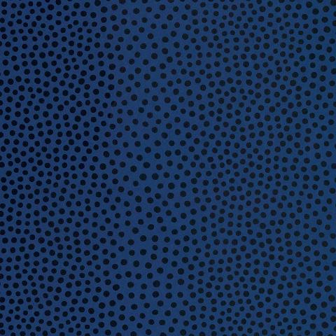 RAINDOTS