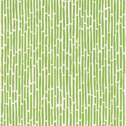 BAMBOO