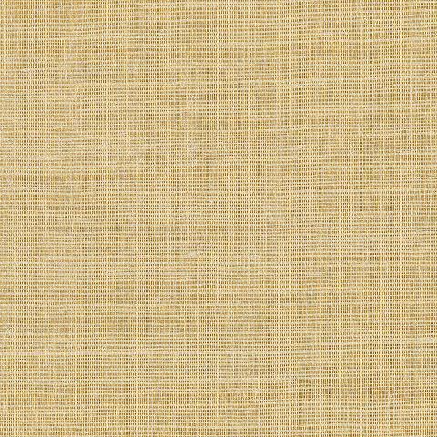 HEMP SHIMMER