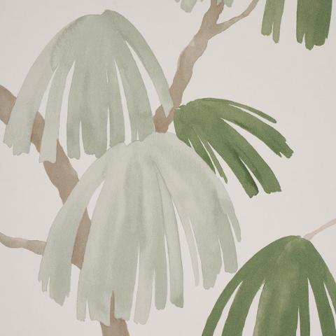 Weeping Pine