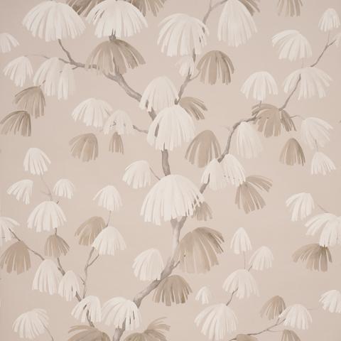 Weeping Pine