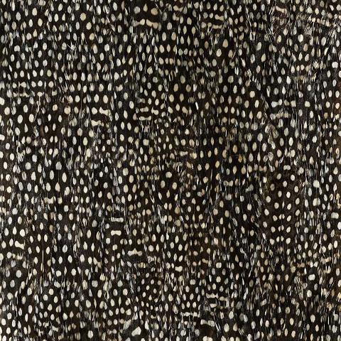 Zinc