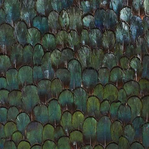 Jade