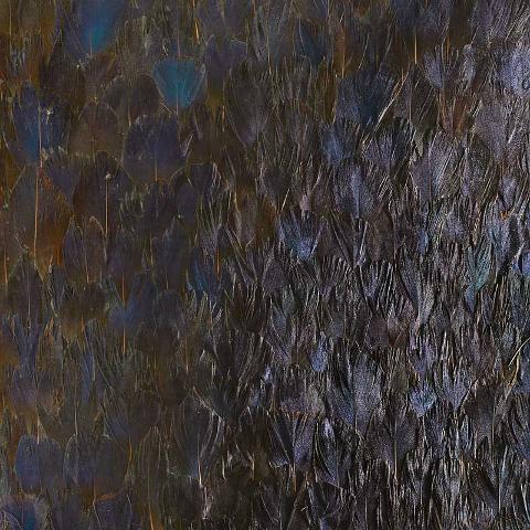 SAPPHIRE