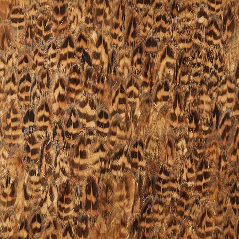 UMBER